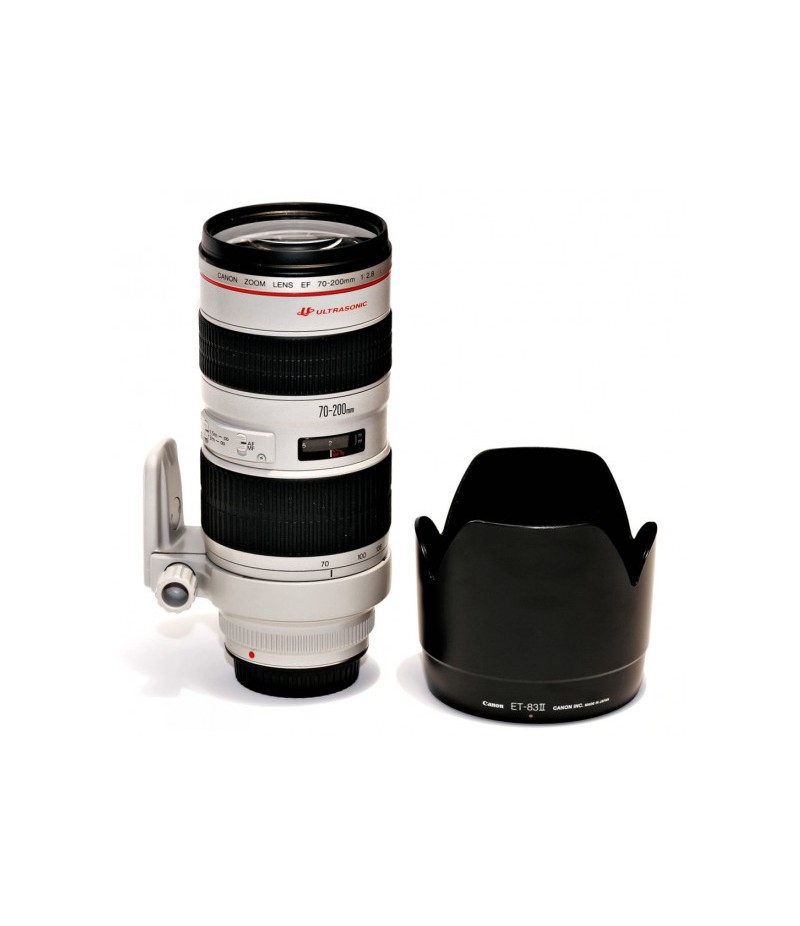 Canon EF 70-200mm f/2.8 L USM